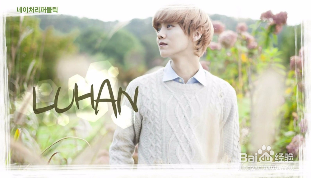 你喜欢他们吗?杨洋洋,鹿晗