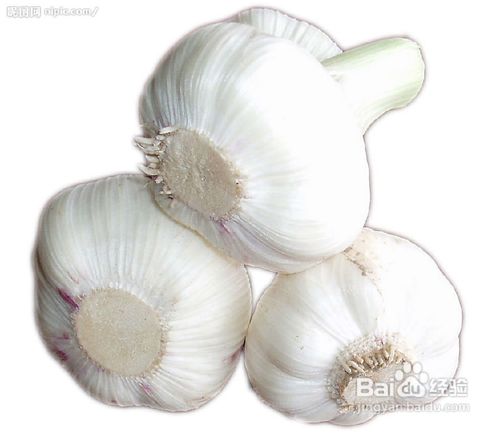 6种食物让男人血管强健