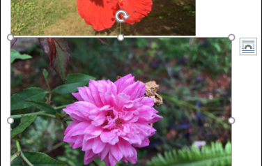 如何使Office文档中图像变小