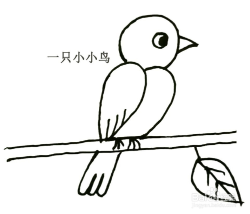 小鸟的简笔画怎么画