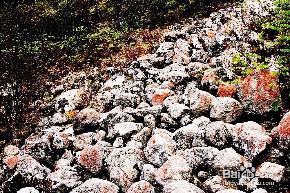 贡嘎雪峰海螺沟,在消失前去看看迷境