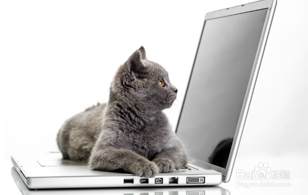 怎么将word转换成pdf不乱码