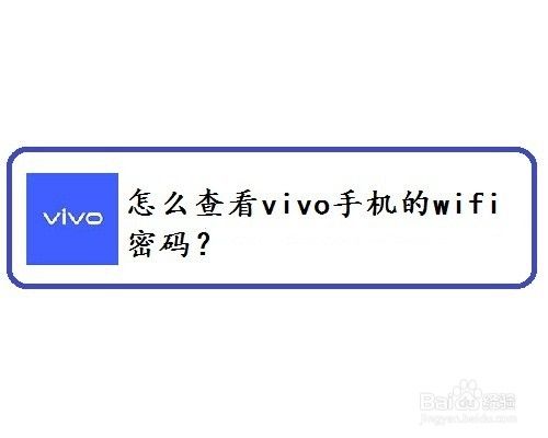 怎么查看vivo手机的wifi密码？