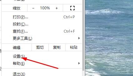 Google Chrome如何查看版本号
