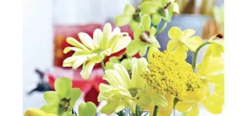 2019年春节假期怎么度过
