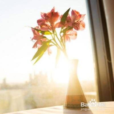 适合中老年微信头像 百度经验