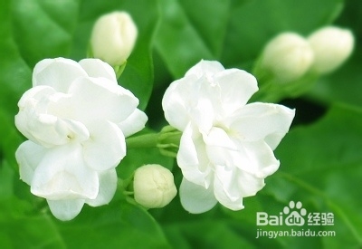 六类体质的夏季养生法