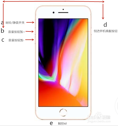如何快速的使用苹果iPhone手机快捷键截图