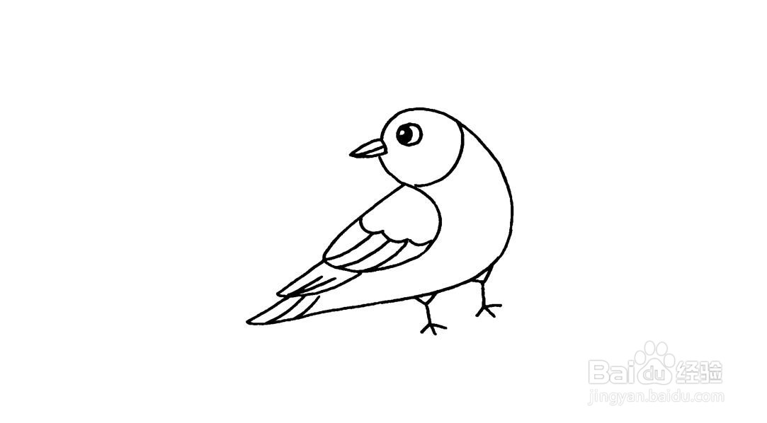 无名小鸟简笔画教程