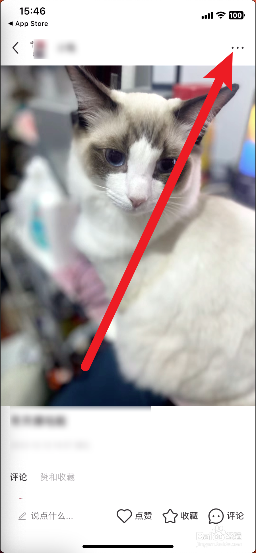 小红书怎么推广