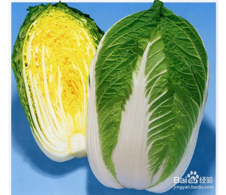 家常菜常用食材及食材营养