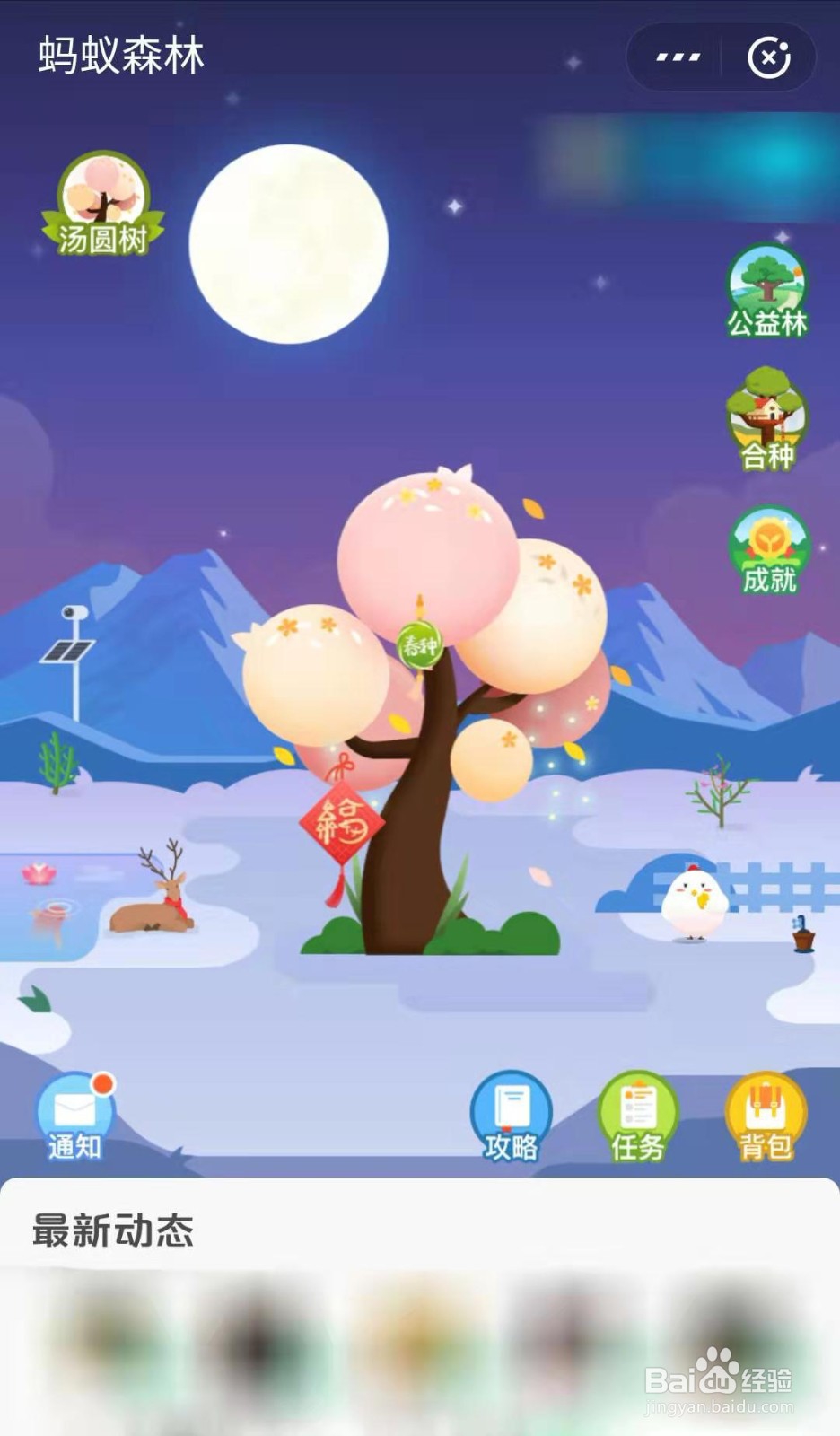 支付宝蚂蚁森林如何领取汤圆树装扮