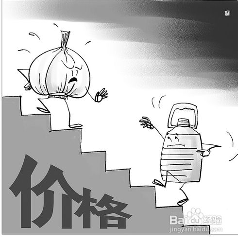 怎么开网店的经验