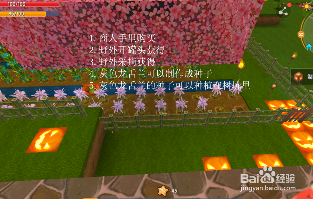 迷你世界灰色龙舌兰怎样得