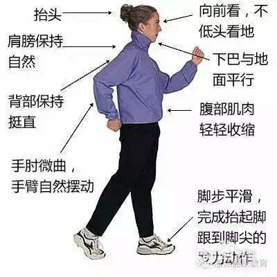 如何判断孩子是不是盆骨前倾