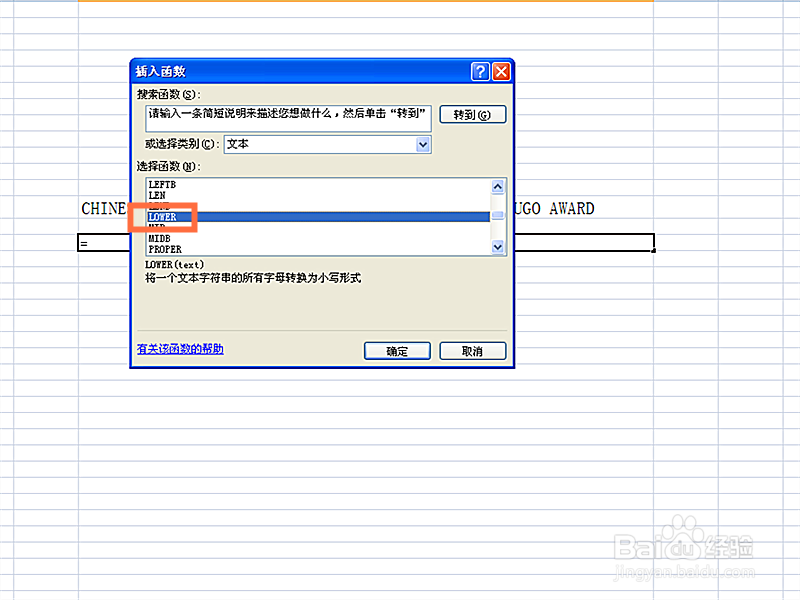 如何在EXCEL表格中使用LOWER函数