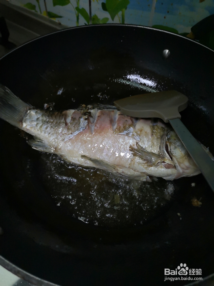 怎么做红烧鲫鱼?