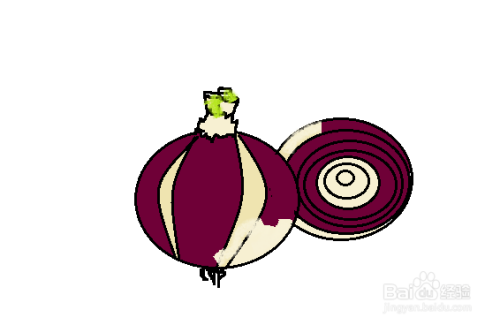 洋葱简笔画教程