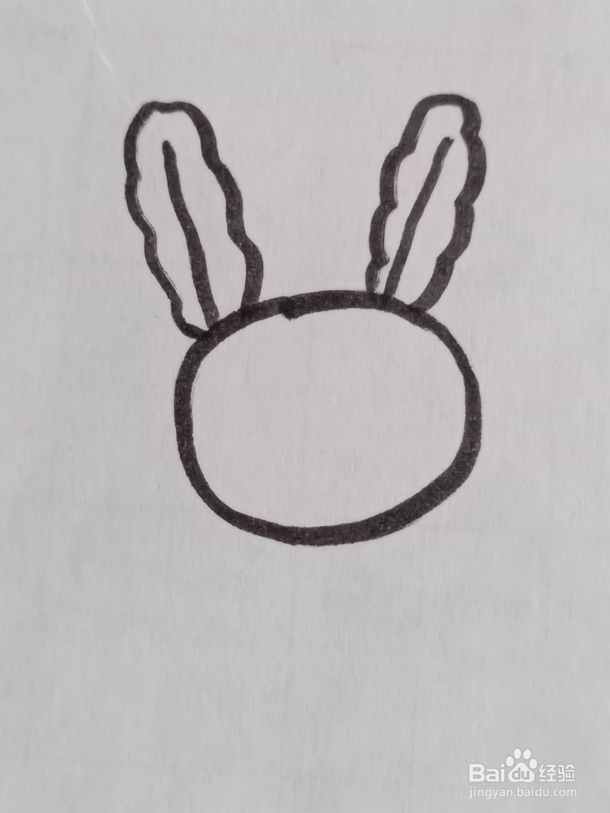 怎样画“小兔子”的简笔画