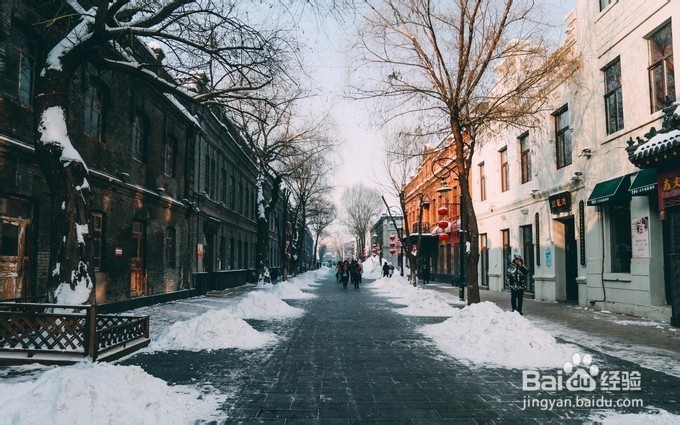 冬游哈尔滨雪乡简记13