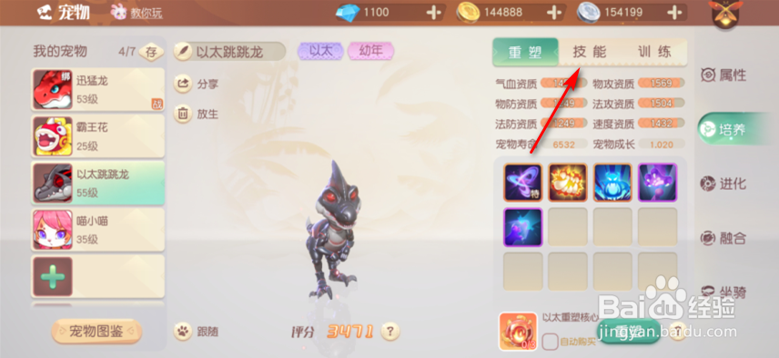 梦想新大陆宠物怎么学技能