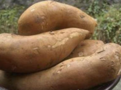 雪莲果和红薯的区别