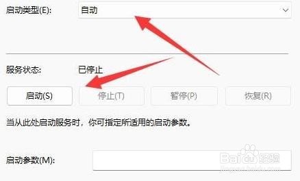 Windows11如何启用发现网络设置