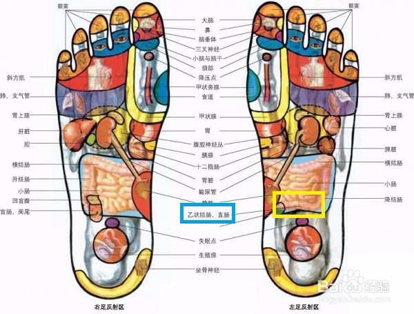 通过按摩调理便秘