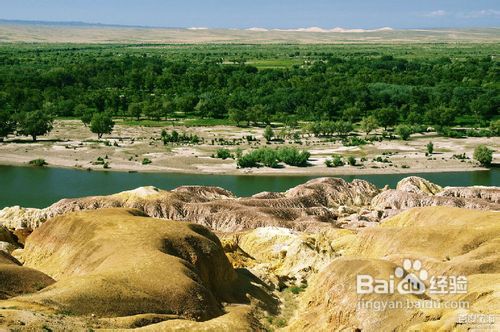 喀纳斯旅游攻略