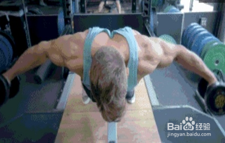 三角肌的锻炼方法