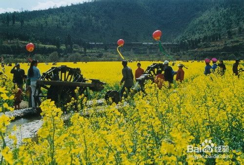 云南昆明安宁市旅游景点攻略