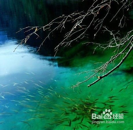 重庆到九寨沟四日游