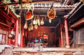 赏樱花赏银杏—赏醉美云南