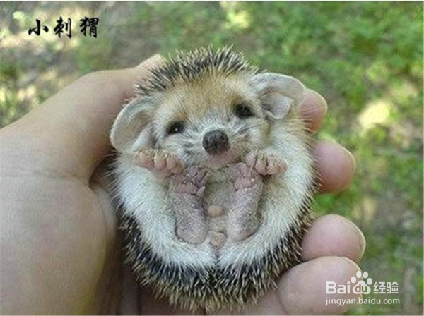 如何提升你的幽默感？