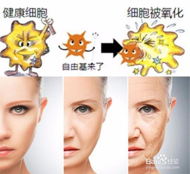 怎样清除自由基