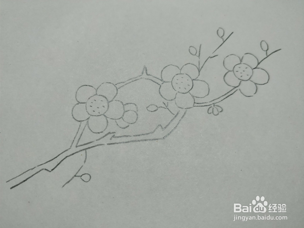 简笔画画卡通红梅