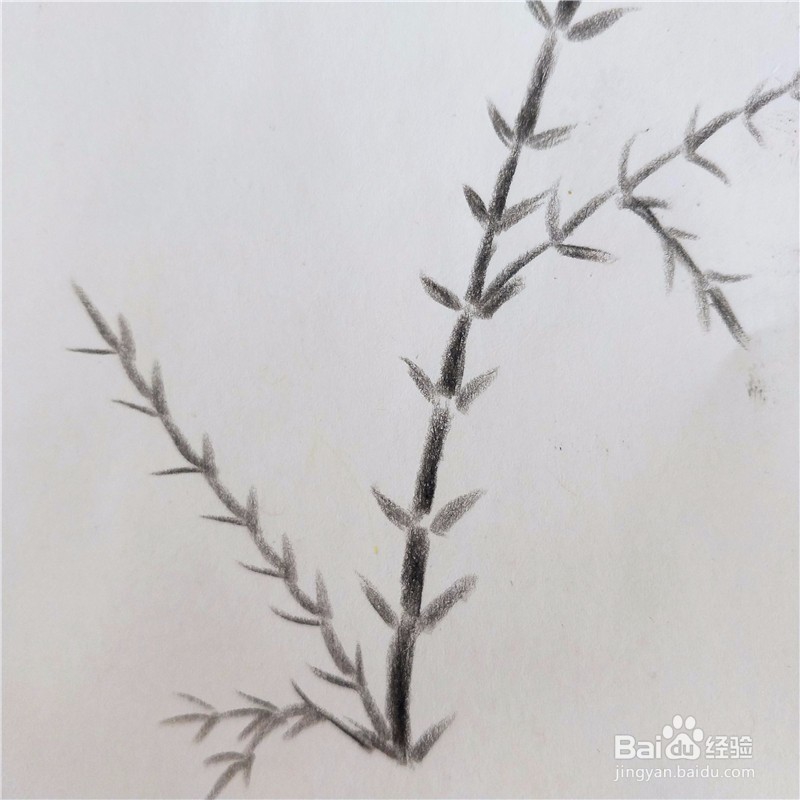 怎么画竹子的简笔画？