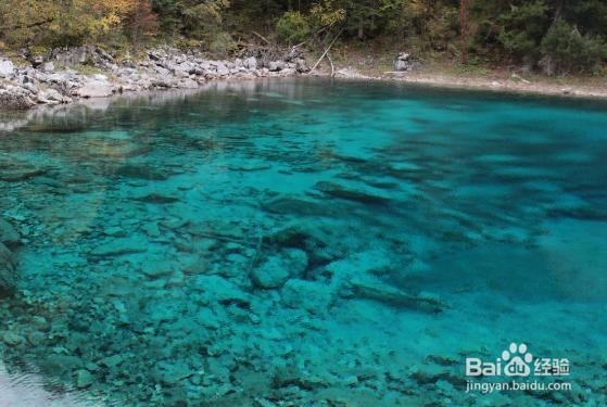 醋酸氯己定溶液怎么用