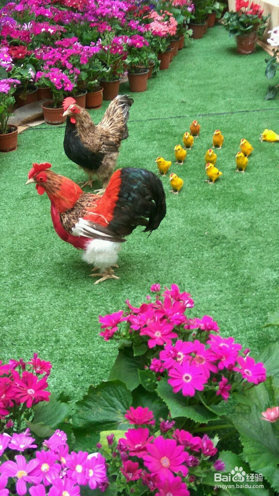 如何成为一名好的领导者