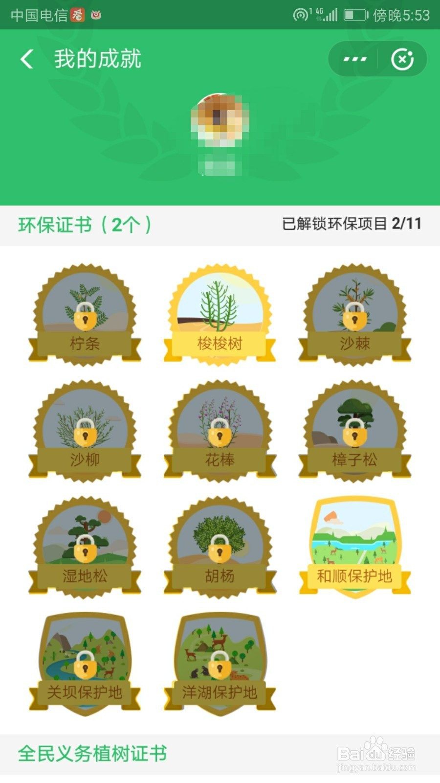 蚂蚁森林攒够能量后怎么种树