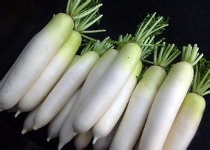 冬天的萝卜怎样储存更好