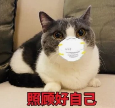 伍氏口罩制作方法