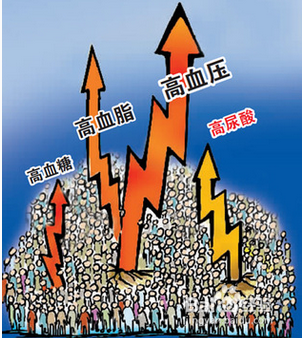 向天果的功效与作用 对人体有什么功效