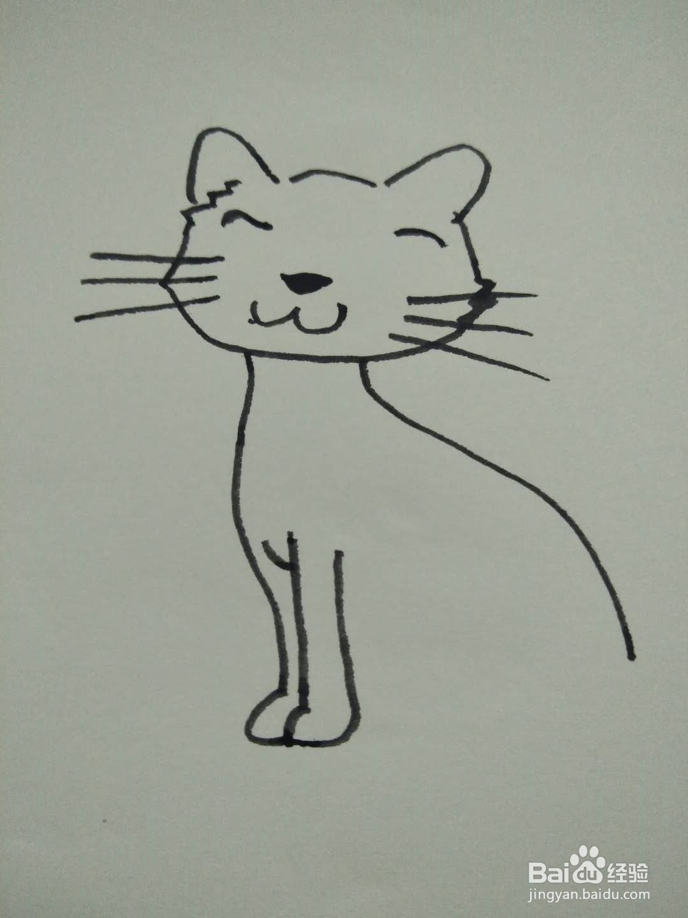 猫的简笔画法8