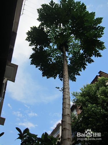 地震了确定要逃吗？（活命技巧）