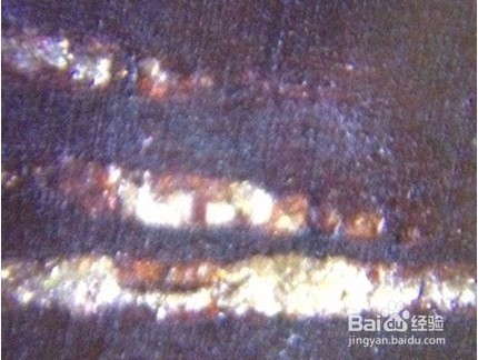 识别小叶紫檀真假金星的方法