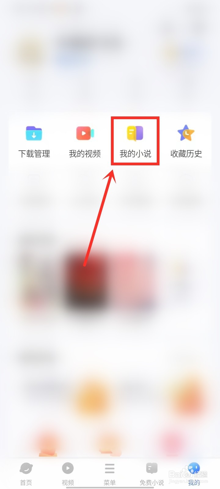 vivo浏览器小说浏览记录在哪