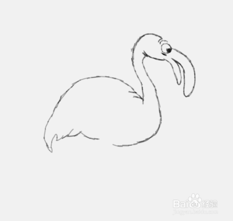 简笔画火烈鸟是怎么画的