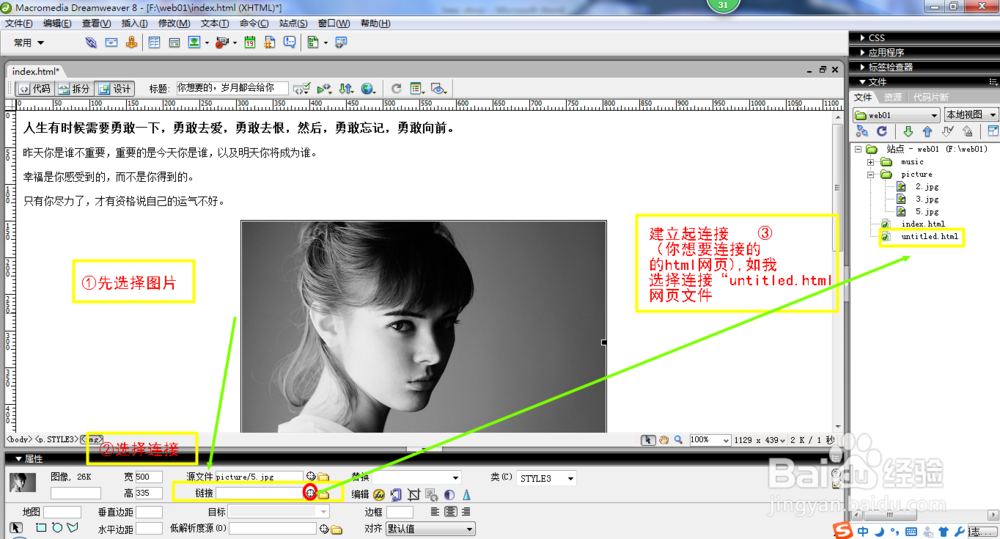 网页设计之新手入门