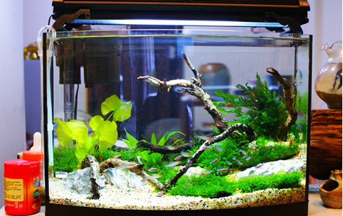 水体计算是什么是啊